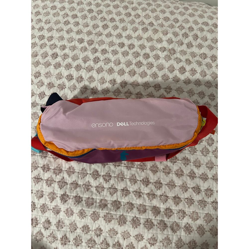 Cotopaxi Bataan Hip Fanny Pack Bag EUC Color block Hiking 3L - Picture 5 of 8